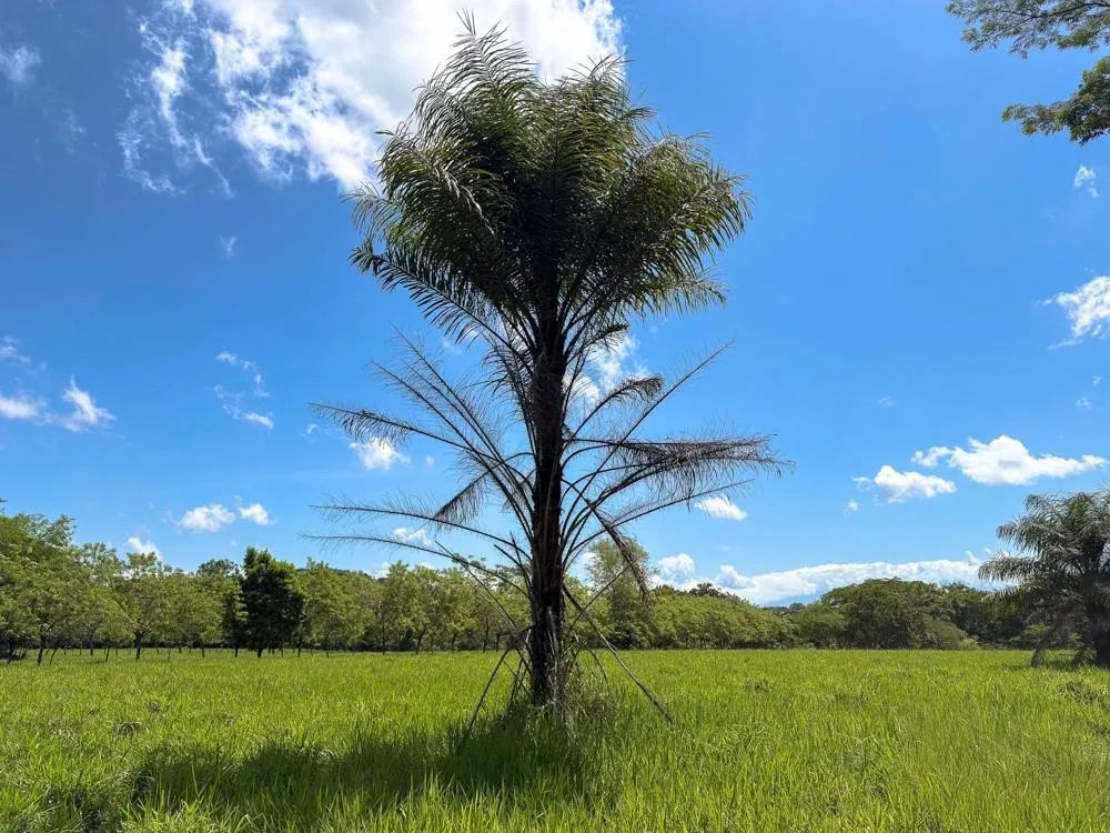 3H+ Riverfront Farm for Sale in Guacá, David
