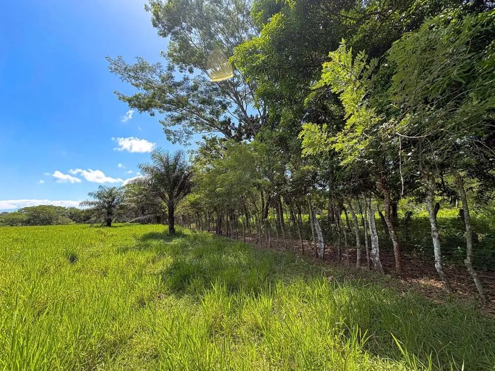 3H+ Riverfront Farm for Sale in Guacá, David