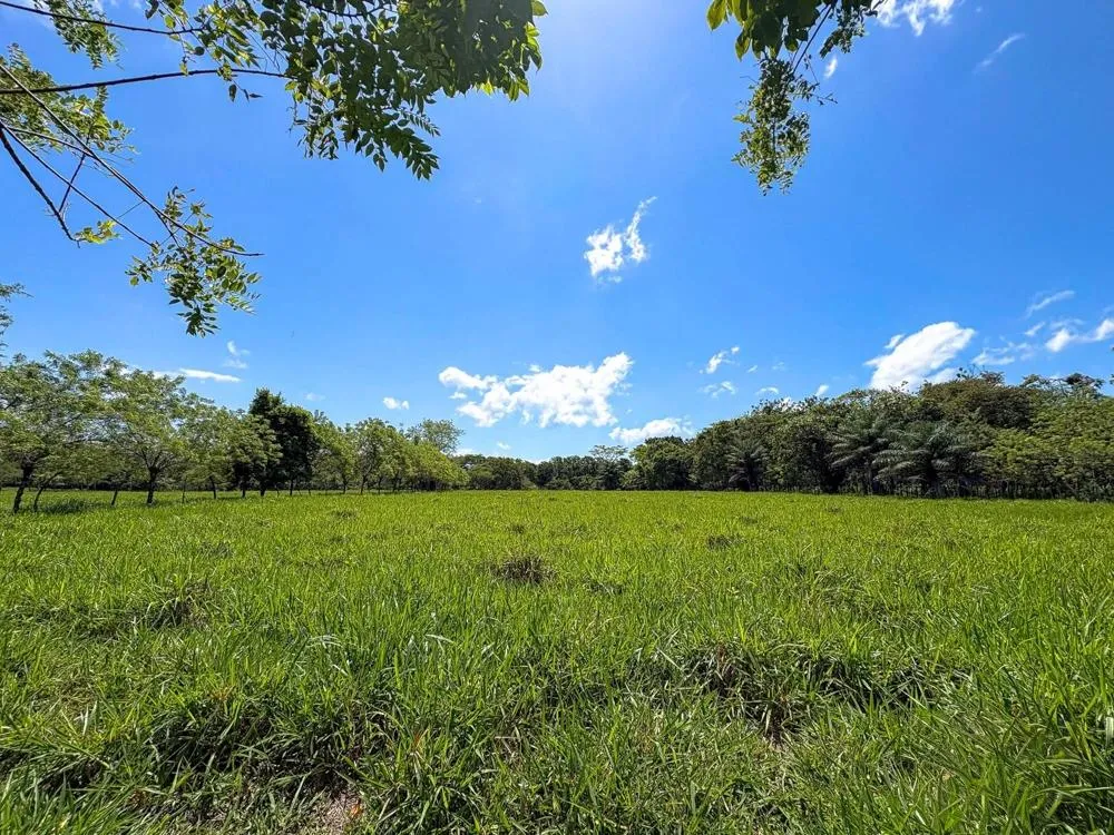 3H+ Riverfront Farm for Sale in Guacá, David