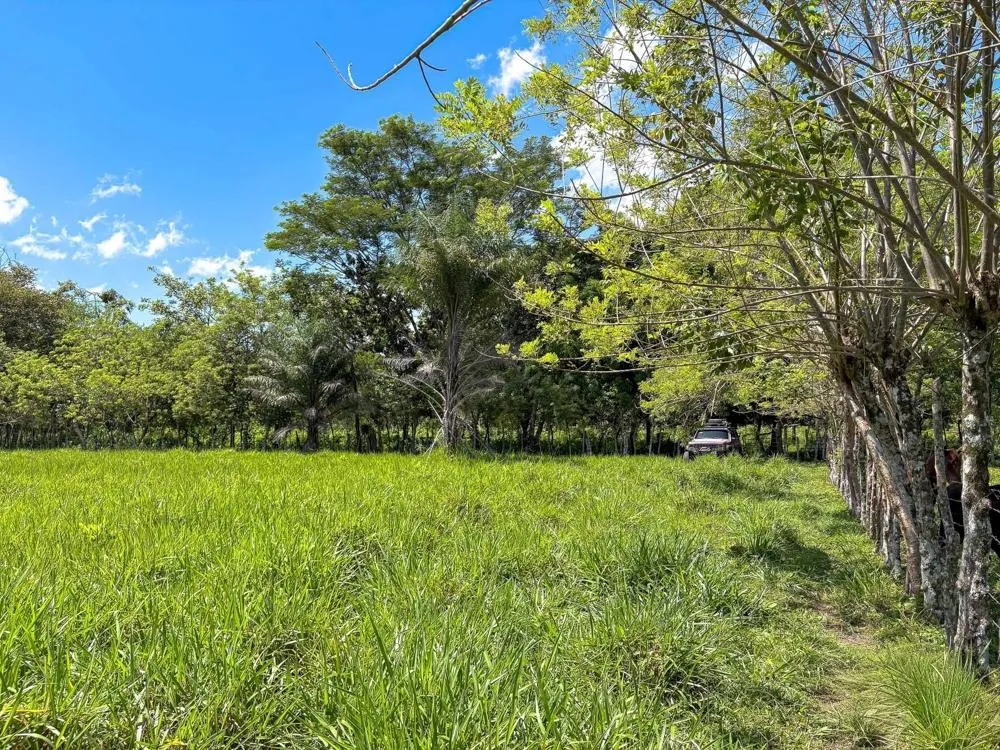 3H+ Riverfront Farm for Sale in Guacá, David