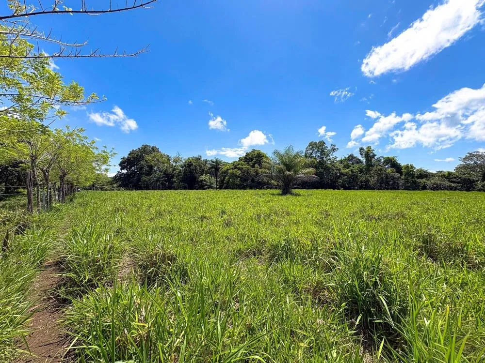 3H+ Riverfront Farm for Sale in Guacá, David