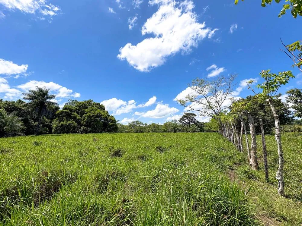 3H+ Riverfront Farm for Sale in Guacá, David