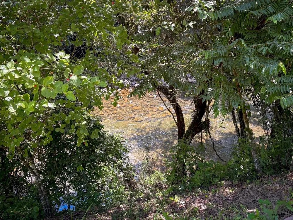 3H+ Riverfront Farm for Sale in Guacá, David