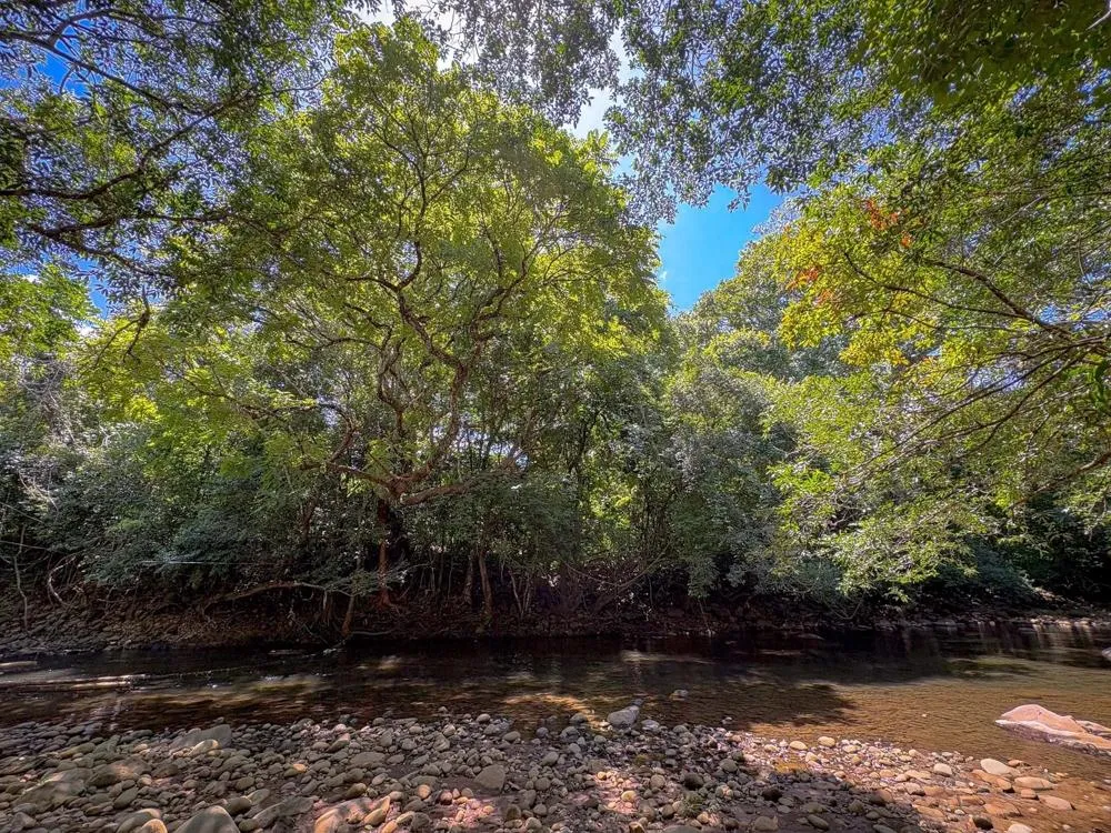 3H+ Riverfront Farm for Sale in Guacá, David