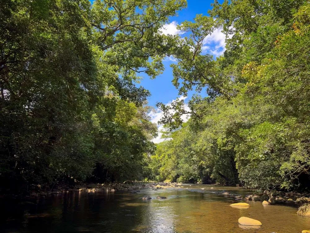3H+ Riverfront Farm for Sale in Guacá, David