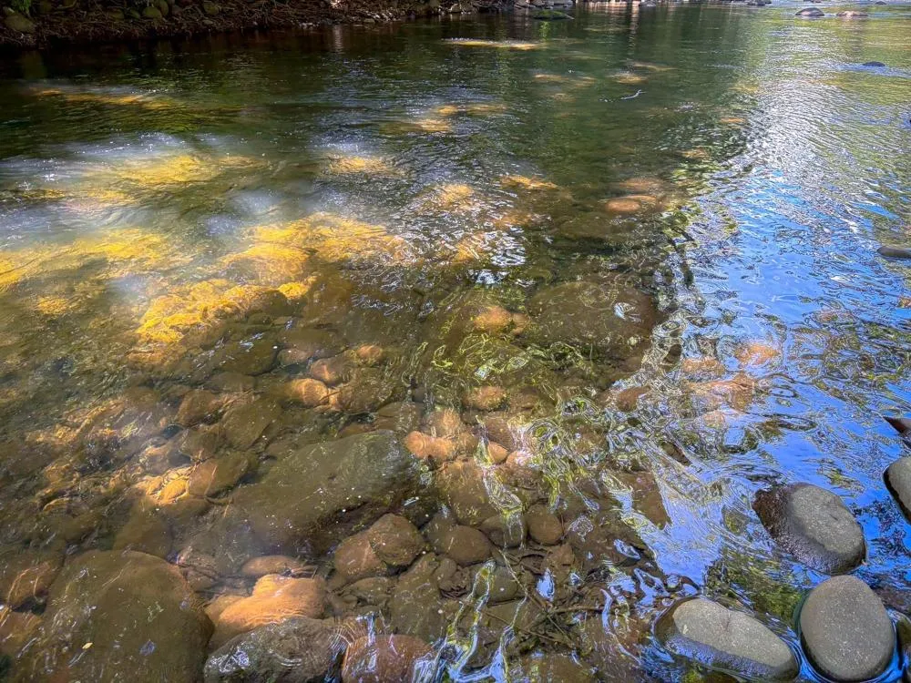 3H+ Riverfront Farm for Sale in Guacá, David