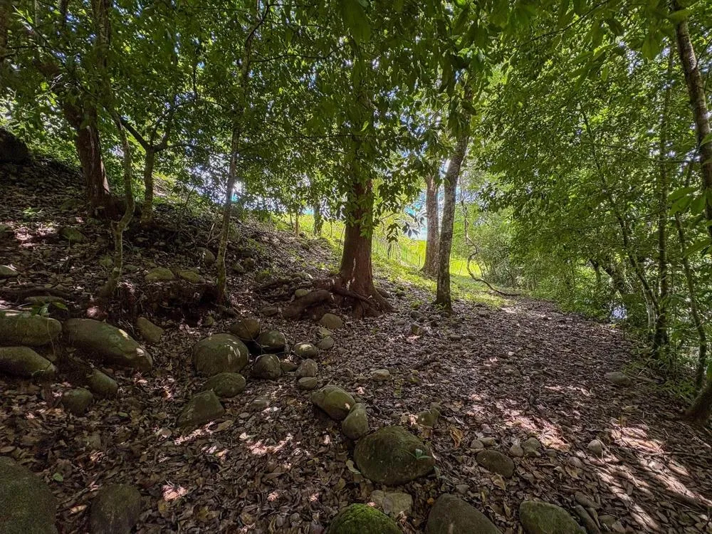 3H+ Riverfront Farm for Sale in Guacá, David