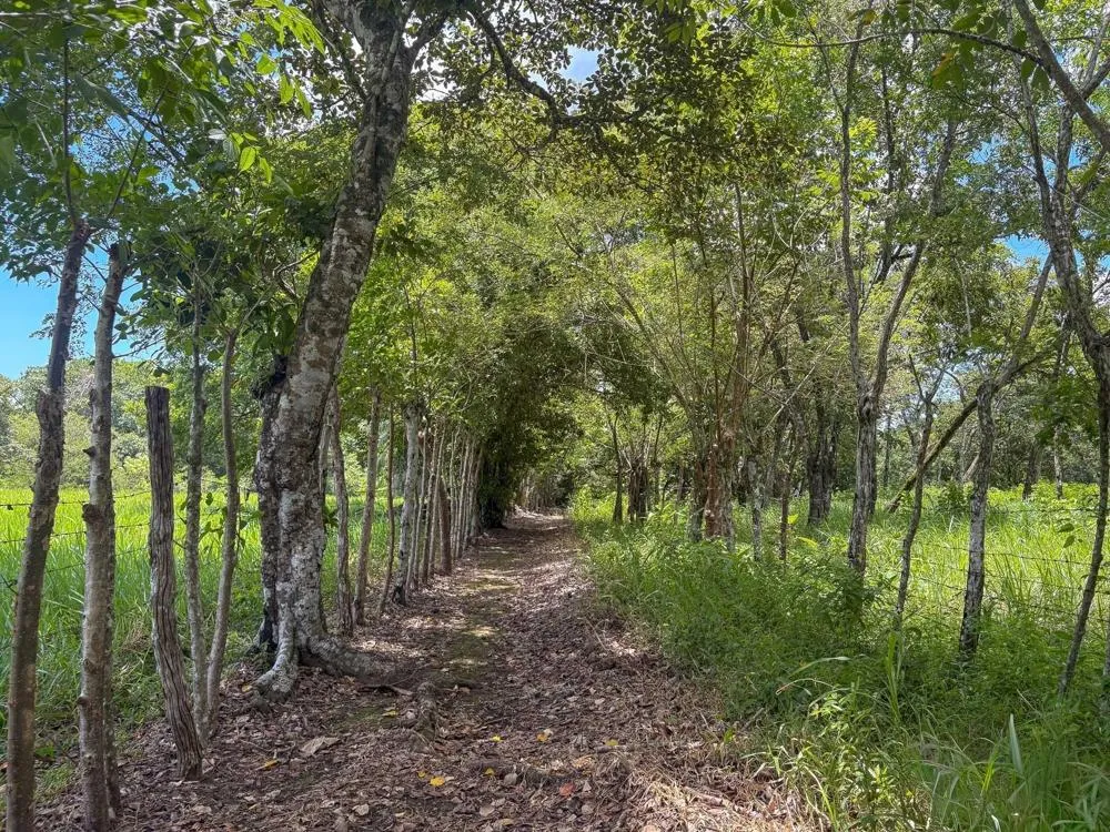 3H+ Riverfront Farm for Sale in Guacá, David
