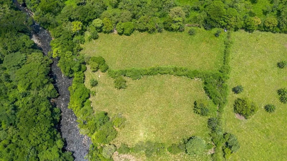 3H+ Riverfront Farm for Sale in Guacá, David