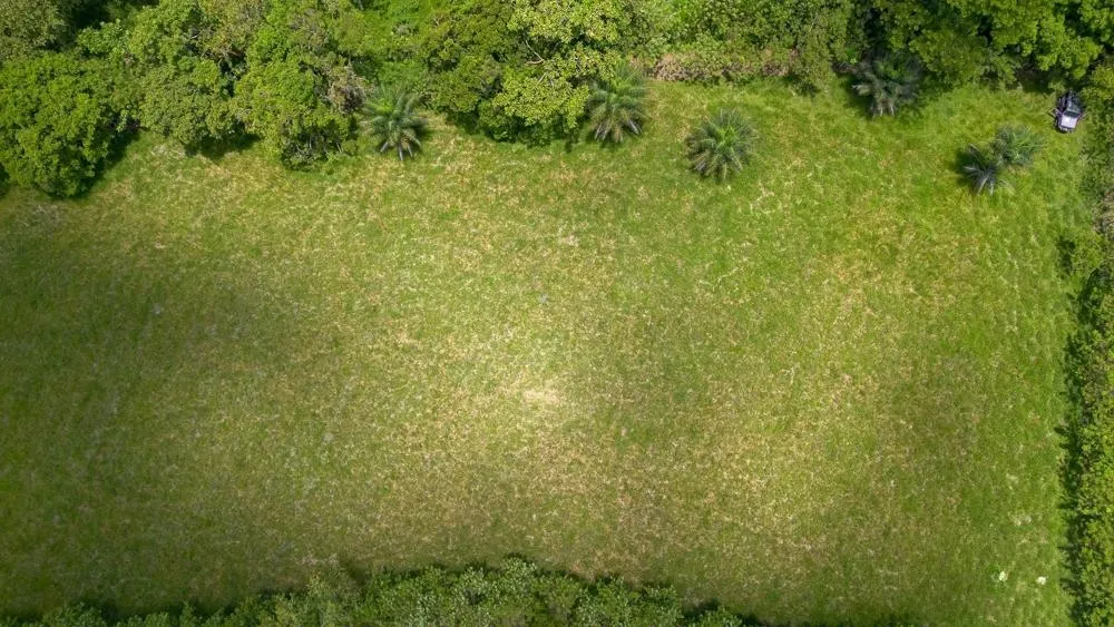 3H+ Riverfront Farm for Sale in Guacá, David