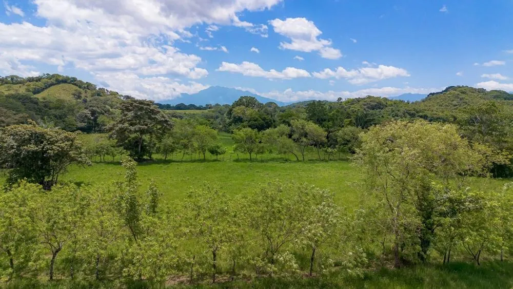3H+ Riverfront Farm for Sale in Guacá, David