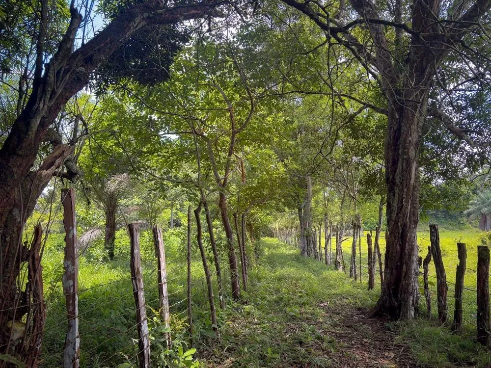 3H+ Riverfront Farm for Sale in Guacá, David