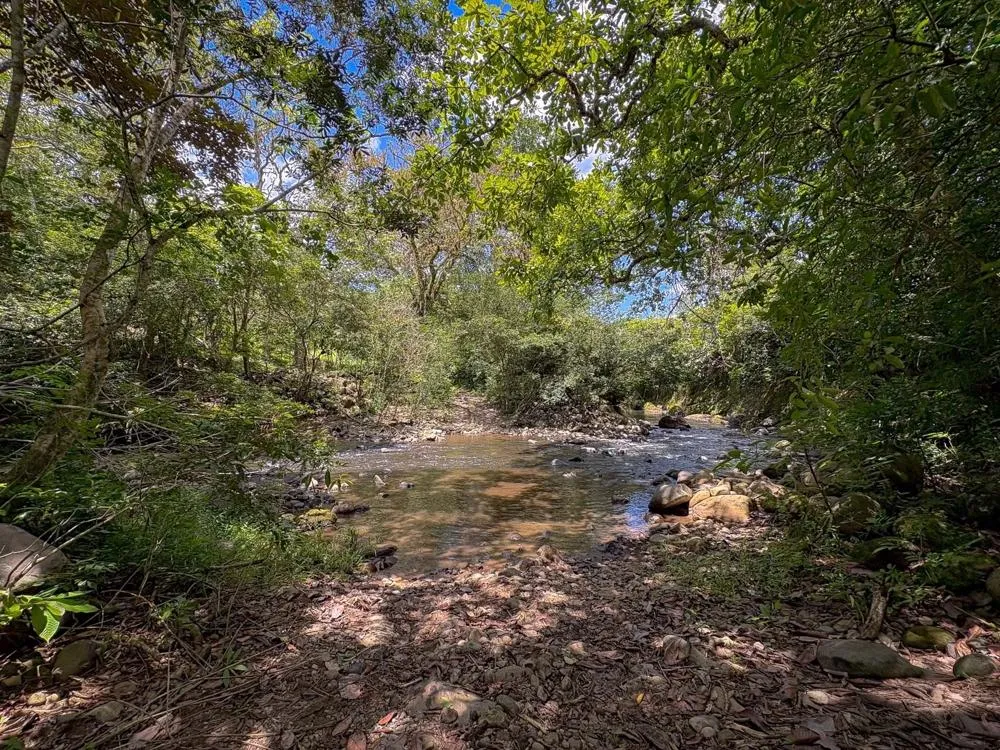 3H+ Riverfront Farm for Sale in Guacá, David