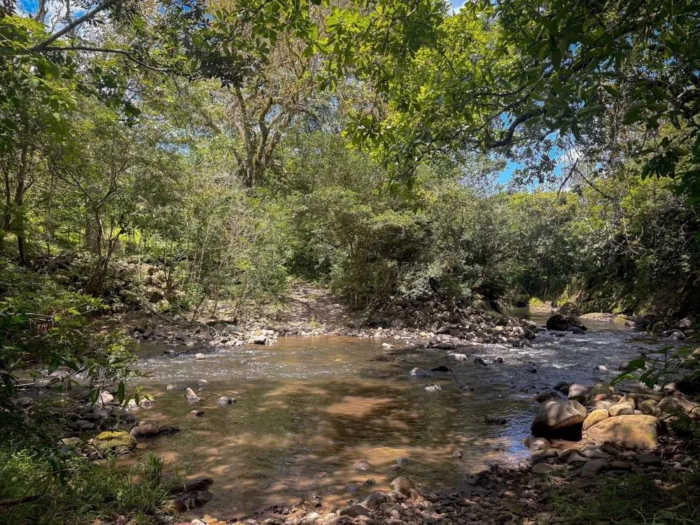 3H+ Riverfront Farm for Sale in Guacá, David