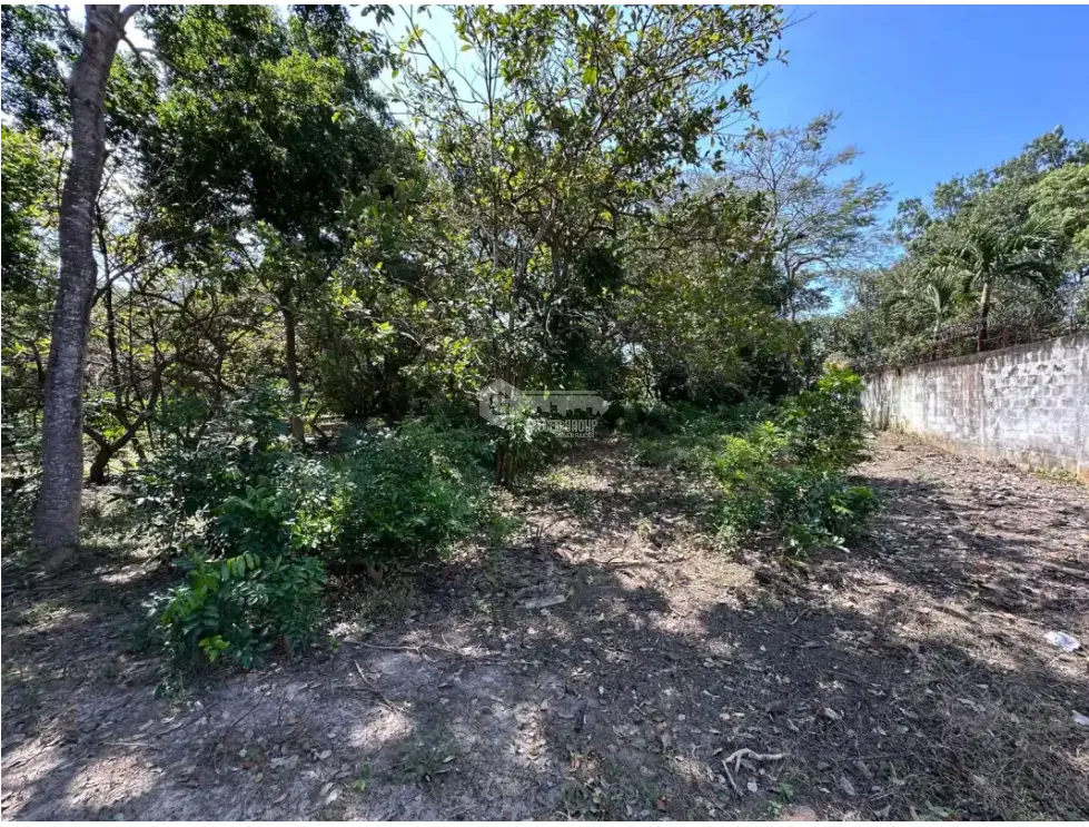 CORONADO / LAND / 994 M2 / FLAT / BEACH / GREEN AREAS