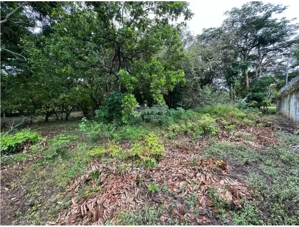 CORONADO / LAND / 994 M2 / FLAT / BEACH / GREEN AREAS