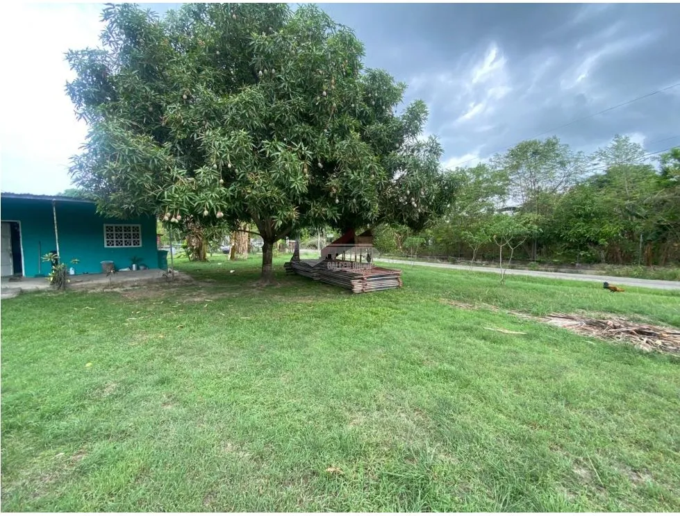 LAND / CORONADO / 1087M / 2 HOUSES / FLAT / CORNER / MAIN ROAD