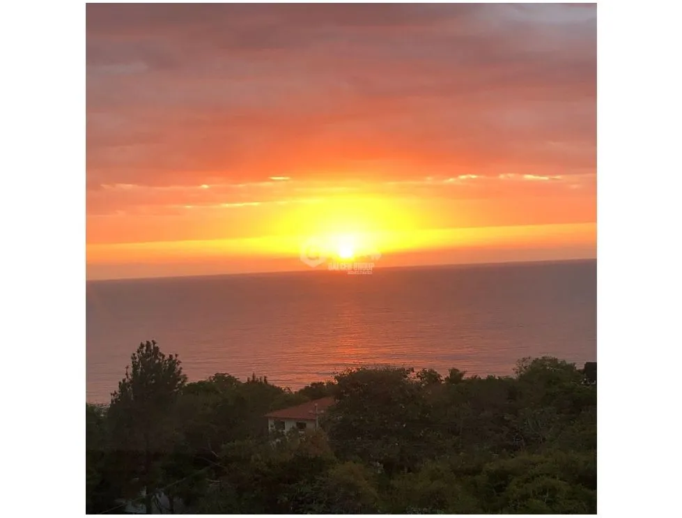 OCEAN VIEW PENTHOUSE PLAYA CORONA / 1 BEDROOM / 42 M2 / SEA VIEW
