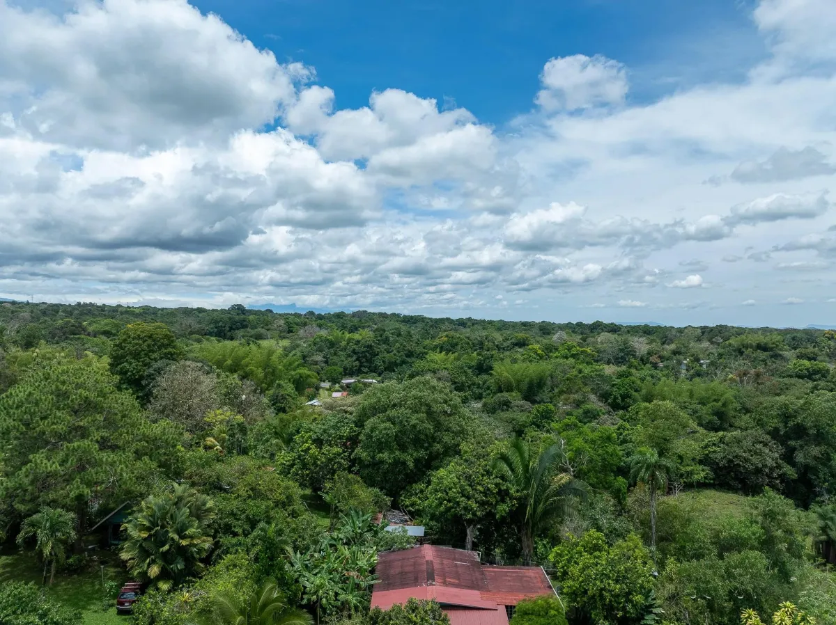 Land for Sale in Boqueron Chiriqui Panama 12,245m2