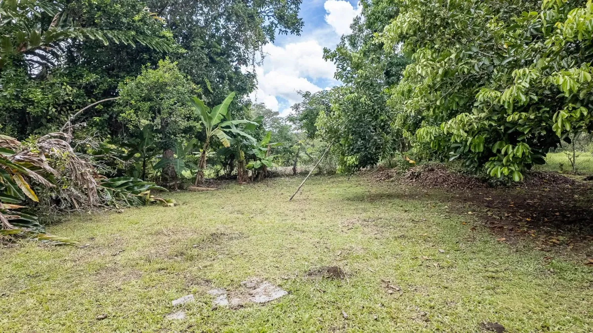 Land for Sale in Boqueron Chiriqui Panama 12,245m2
