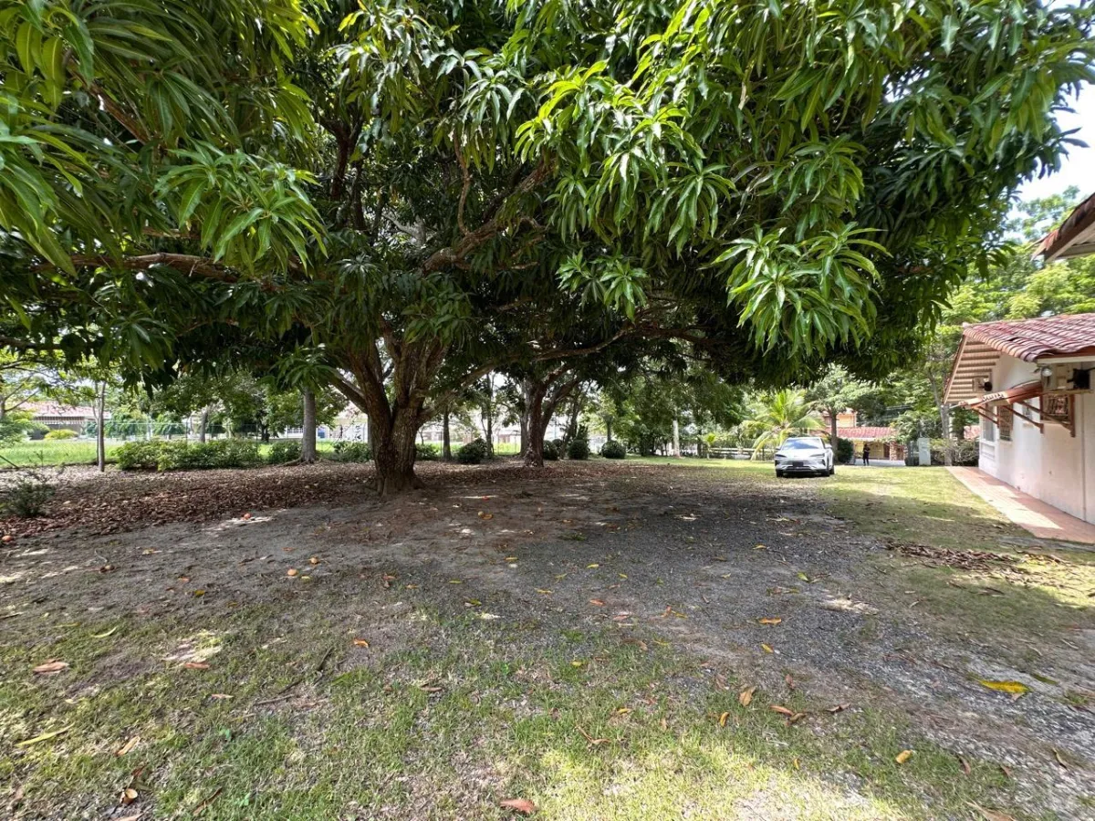 House USD325,000.00 Inside Coronado Golf Course