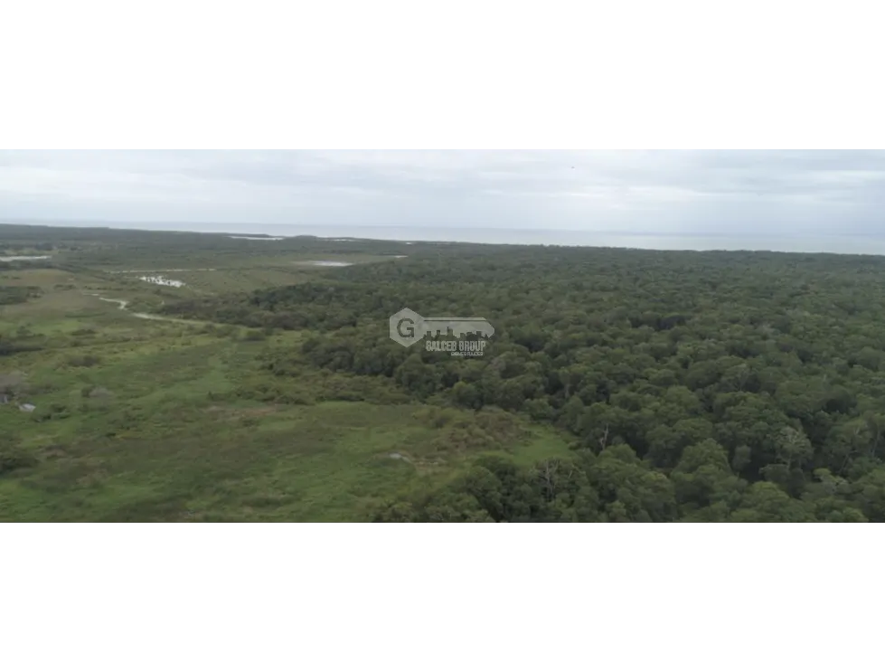 SPACIOUS 132-HECTARE BEACHFRONT LAND FOR SALE IN COCLÉ, ANTÓN