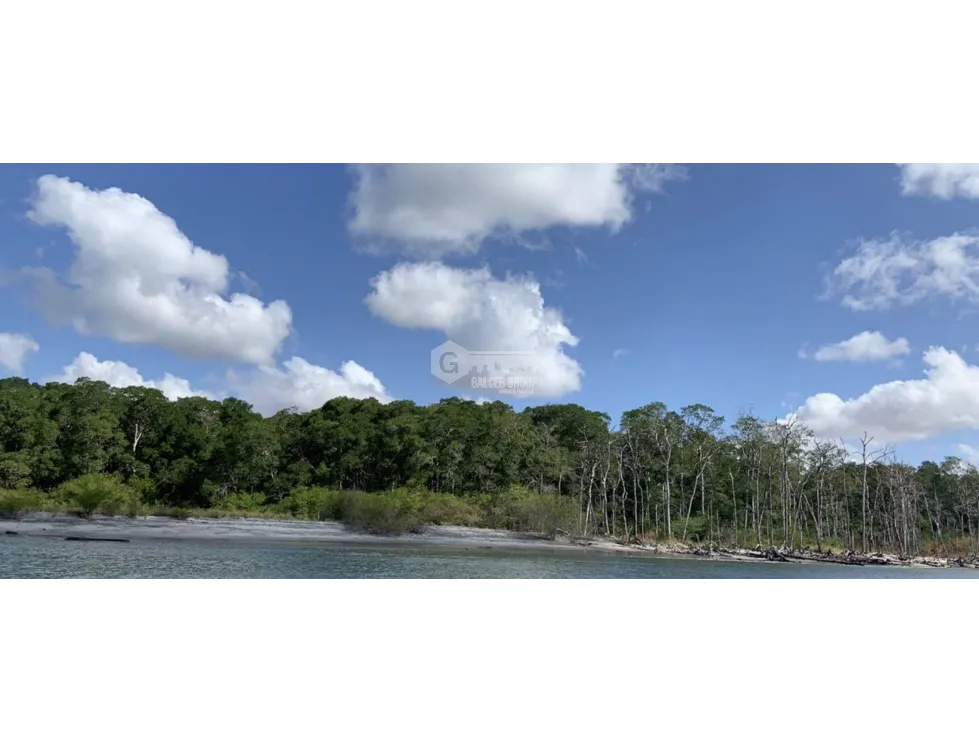 SPACIOUS 132-HECTARE BEACHFRONT LAND FOR SALE IN COCLÉ, ANTÓN