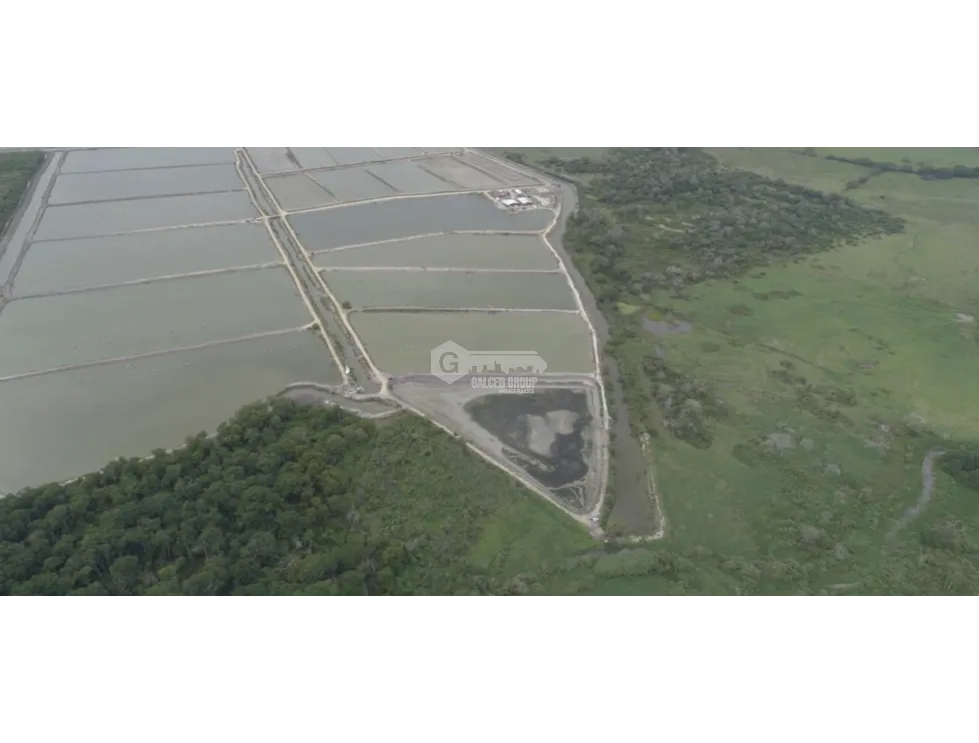 SPACIOUS 132-HECTARE BEACHFRONT LAND FOR SALE IN COCLÉ, ANTÓN