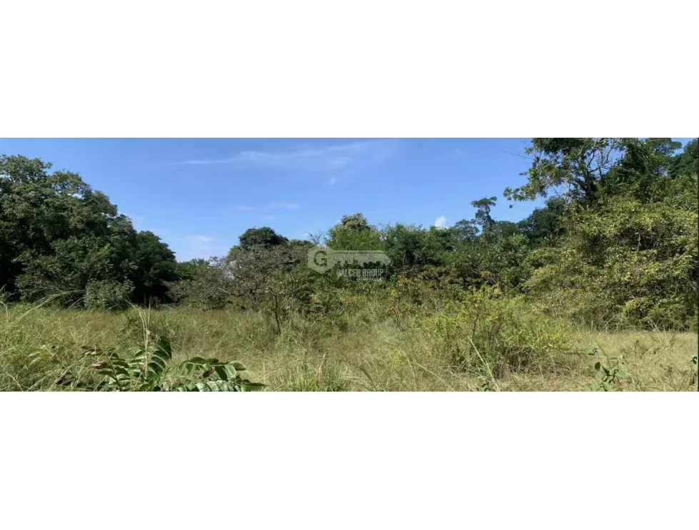 SPACIOUS 132-HECTARE BEACHFRONT LAND FOR SALE IN COCLÉ, ANTÓN