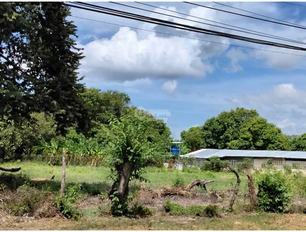LAND FOR SALE 6035 M2 IN COCLE CHURUBE ON PAVED ROAD