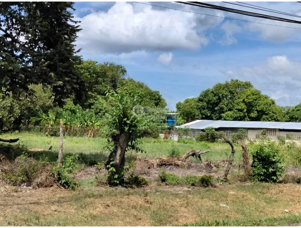 LAND FOR SALE 6035 M2 IN COCLE CHURUBE ON PAVED ROAD