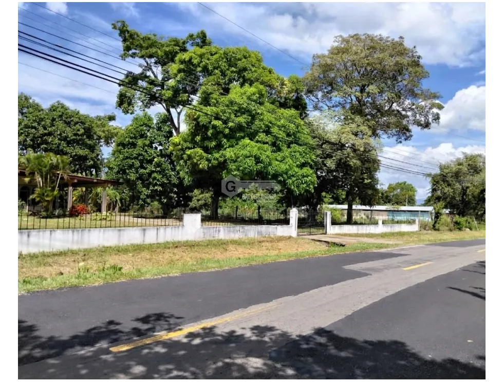 LAND FOR SALE 6035 M2 IN COCLE CHURUBE ON PAVED ROAD