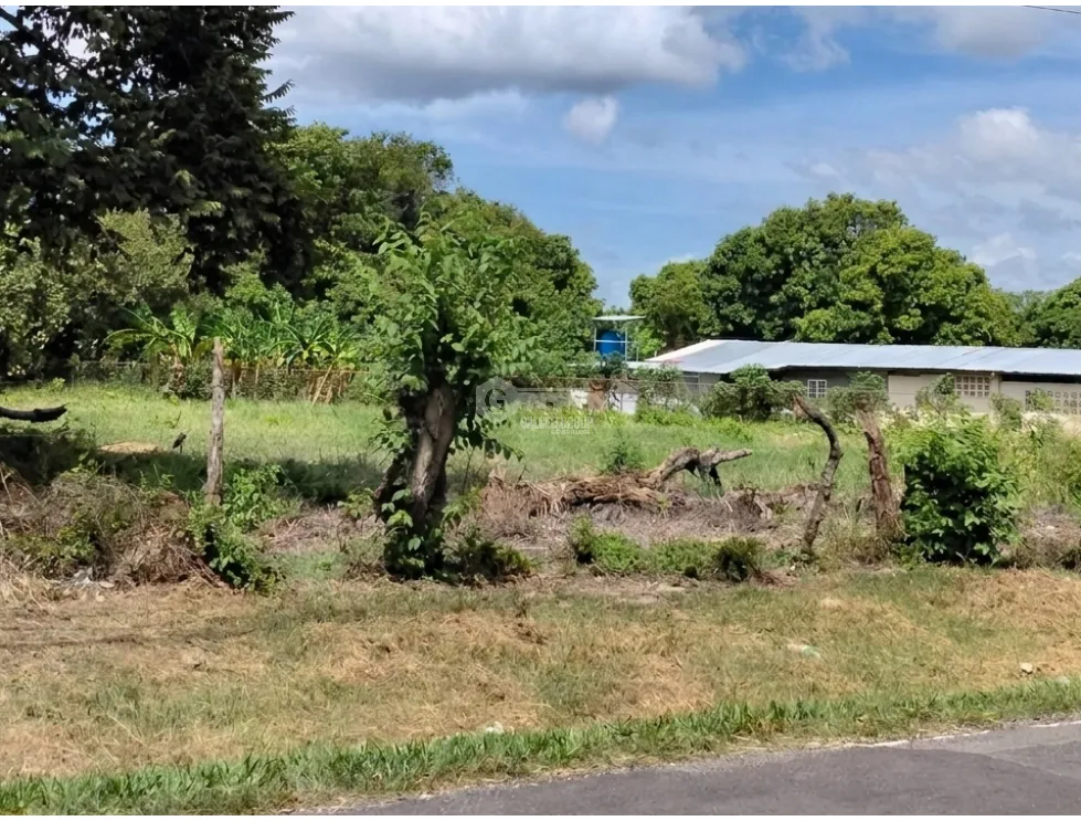 LAND FOR SALE 6035 M2 IN COCLE CHURUBE ON PAVED ROAD