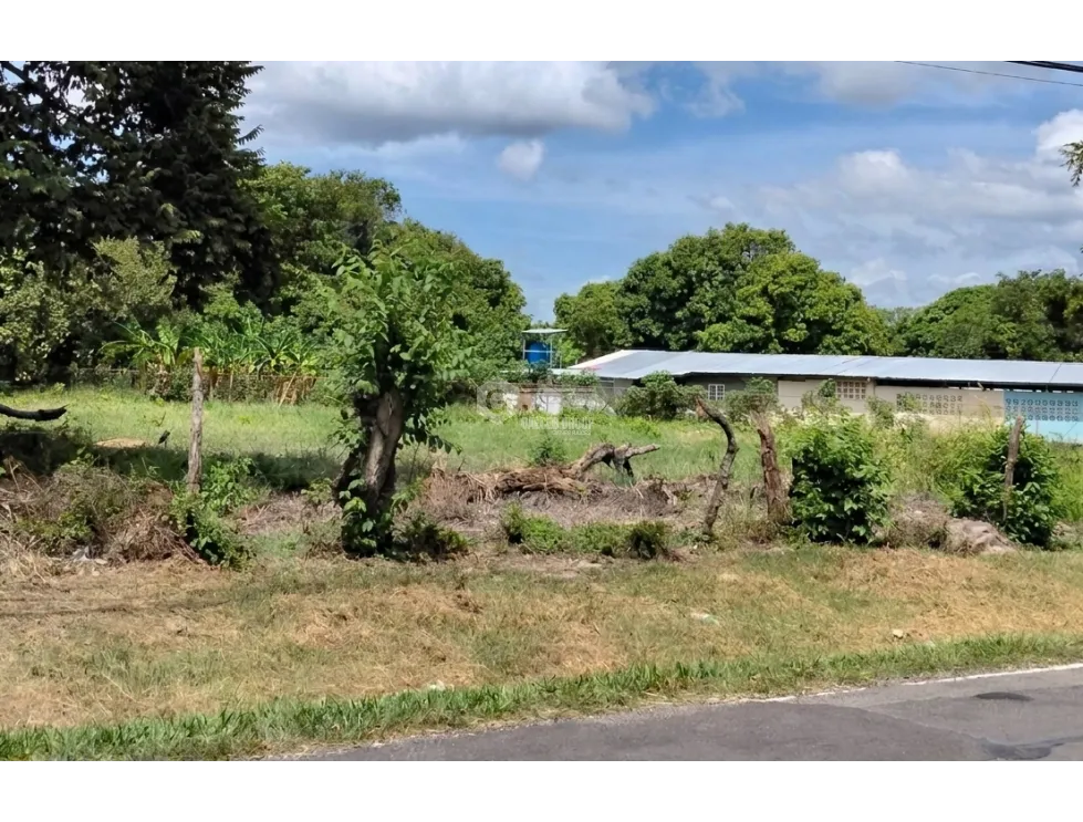 LAND FOR SALE 6035 M2 IN COCLE CHURUBE ON PAVED ROAD