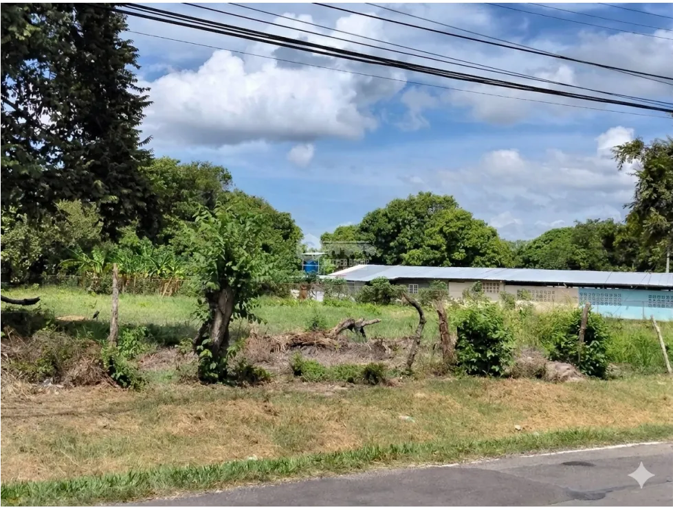 LAND FOR SALE 6035 M2 IN COCLE CHURUBE ON PAVED ROAD