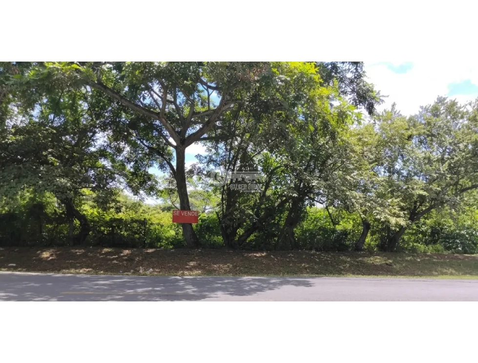 LAND FOR SALE 2 HECTARES IN COCLE CHURUBE ON PAVED ROAD