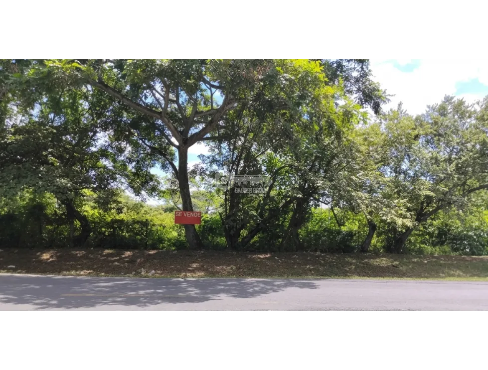 LAND FOR SALE 2 HECTARES IN COCLE CHURUBE ON PAVED ROAD