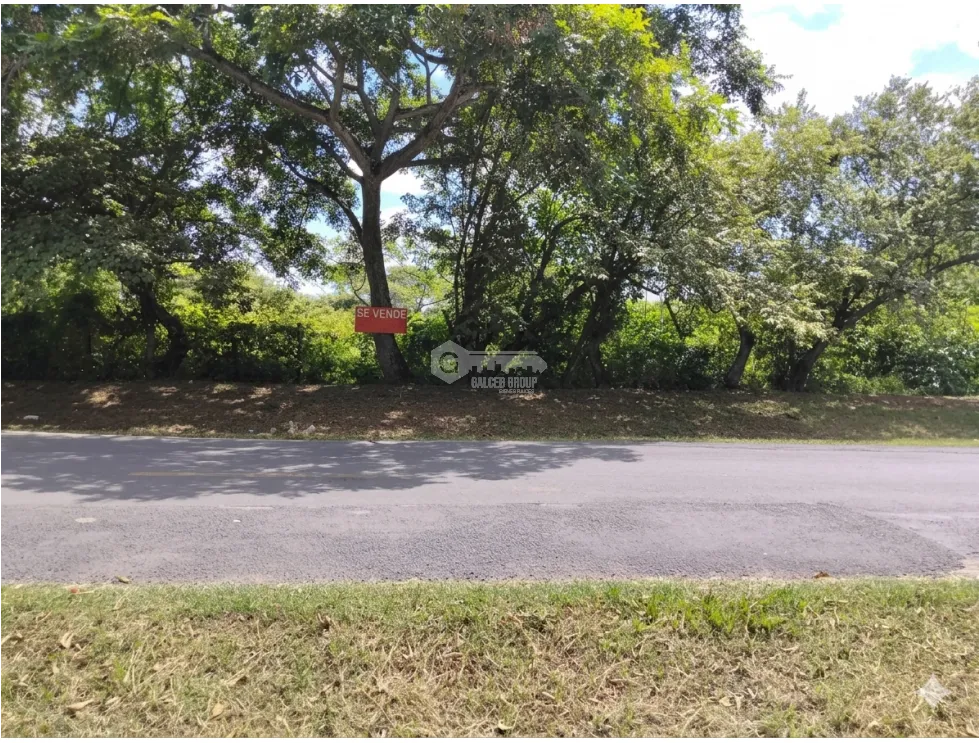 LAND FOR SALE 2 HECTARES IN COCLE CHURUBE ON PAVED ROAD