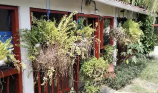 SE VENDE CASA 562M EN SAN CARLOS LAS UVAS A MINUTOS DE LAS PLAYAS