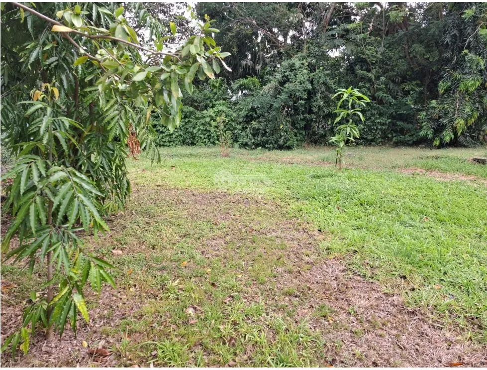 SE VENDE TERRENO 1181M EN CAPIRA CAMPANA ZONAS VERDES Y CLIMAS FRESCOS