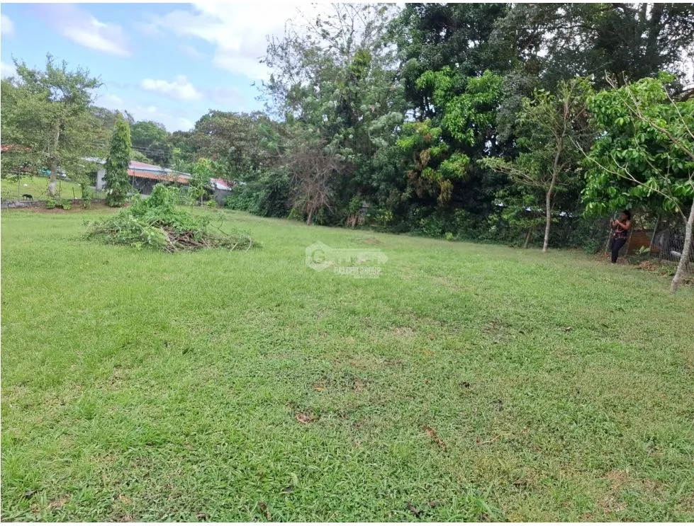 SE VENDE TERRENO 1181M EN CAPIRA CAMPANA ZONAS VERDES Y CLIMAS FRESCOS