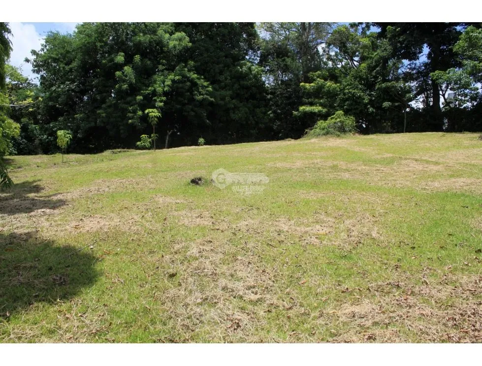SE VENDE TERRENO 1181M EN CAPIRA CAMPANA ZONAS VERDES Y CLIMAS FRESCOS