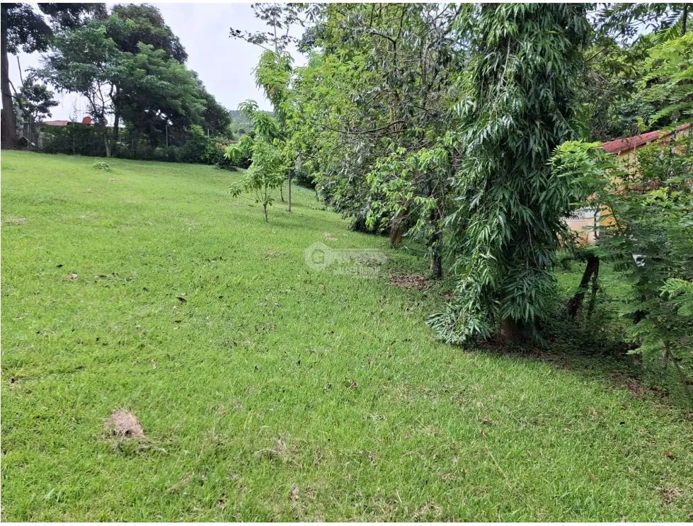 SE VENDE TERRENO 1181M EN CAPIRA CAMPANA ZONAS VERDES Y CLIMAS FRESCOS
