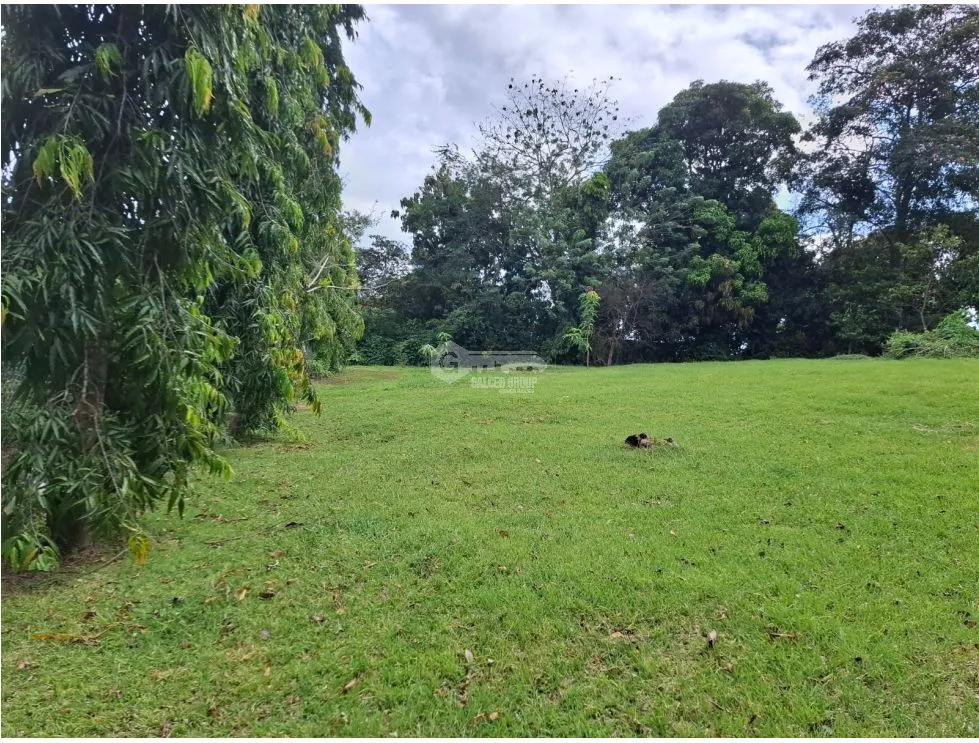 SE VENDE TERRENO 1181M EN CAPIRA CAMPANA ZONAS VERDES Y CLIMAS FRESCOS