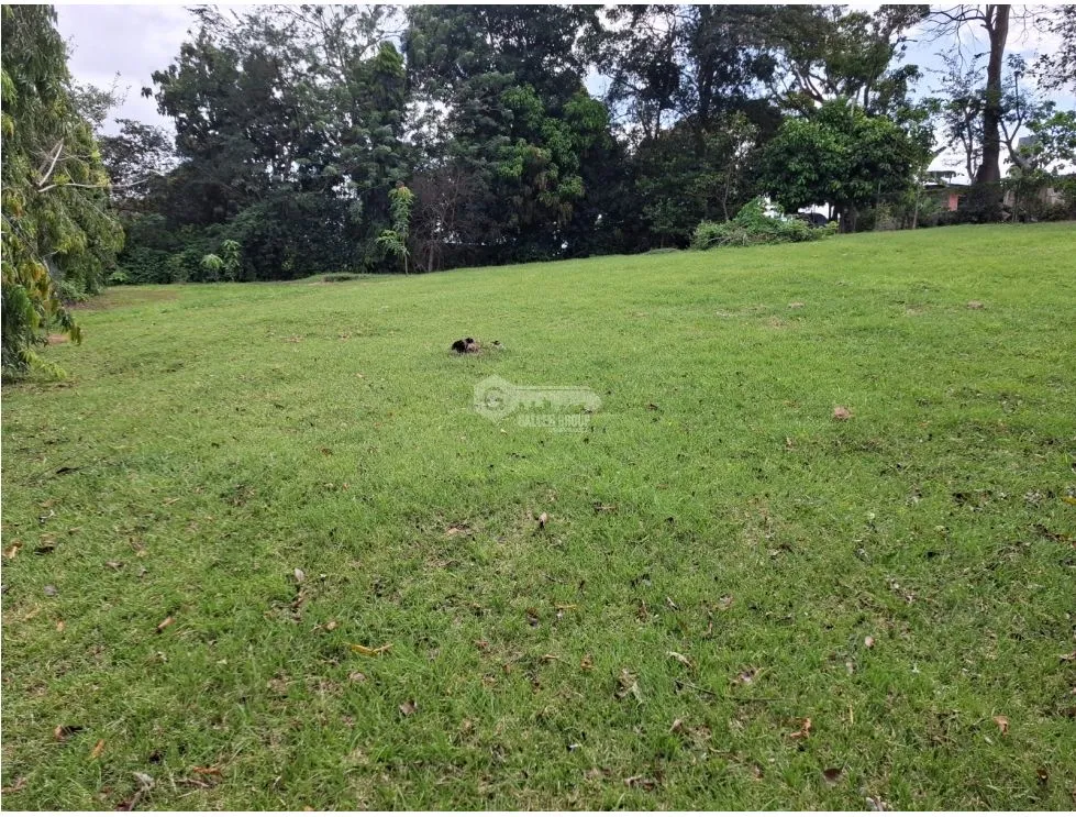 SE VENDE TERRENO 1181M EN CAPIRA CAMPANA ZONAS VERDES Y CLIMAS FRESCOS