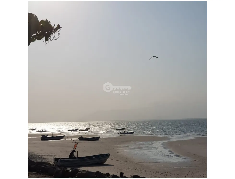 PUNTA CHAME / 1100 M2 / LAND / GREEN AREAS / BEACHFRONT