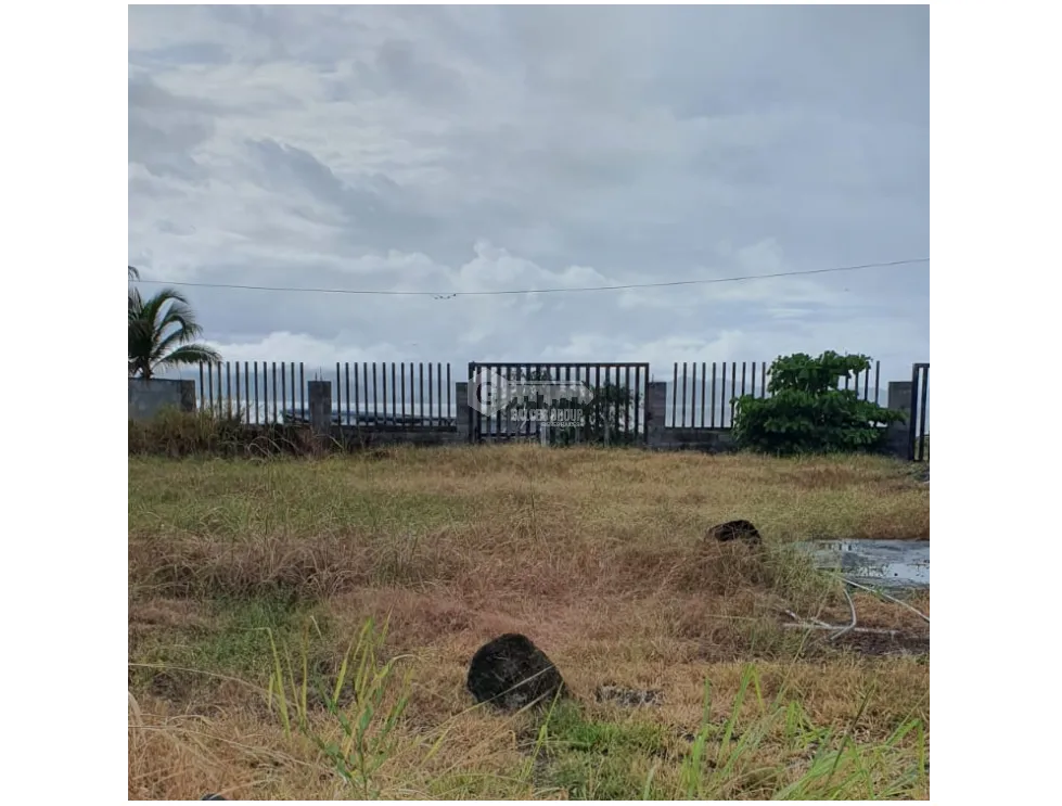 PUNTA CHAME / 1100 M2 / LAND / GREEN AREAS / OCEANFRONT