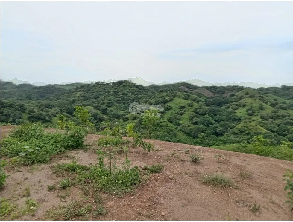 Terrain à bâtir à Pedasi à vendre