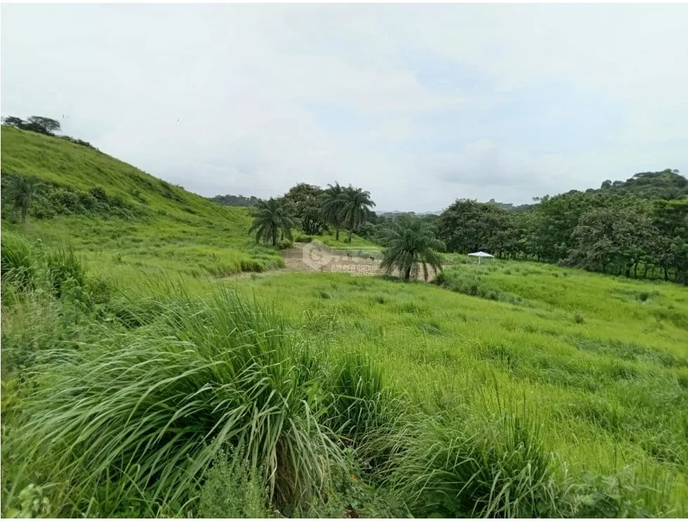 Terrain à bâtir à Pedasi à vendre