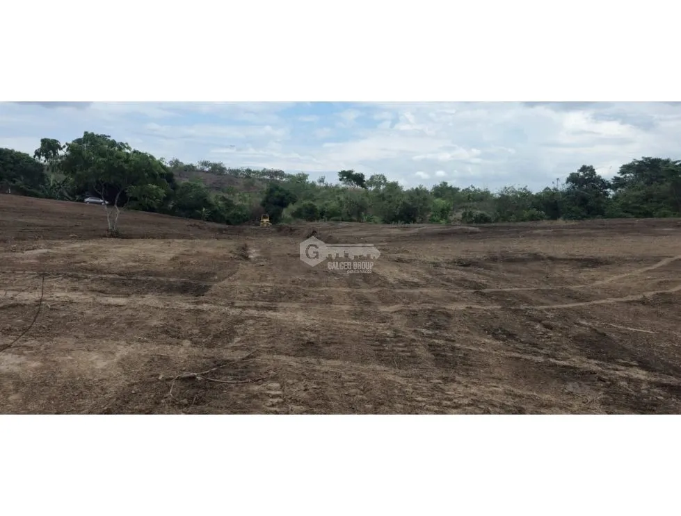 TERRENO / TOCUMEN / LAS MAÑANITAS / 15,000M / PLANO / INVERSION